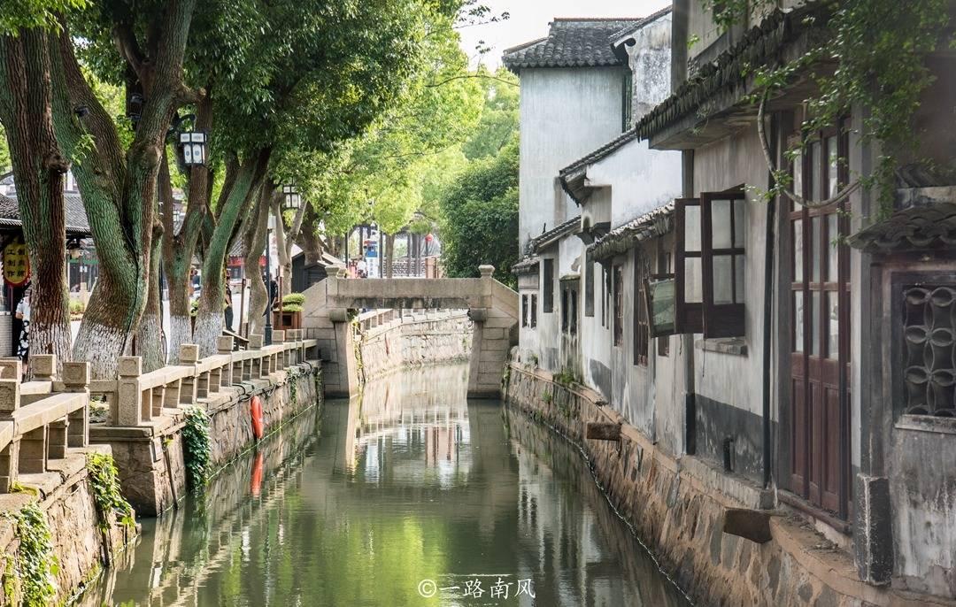 拯救卡通獾